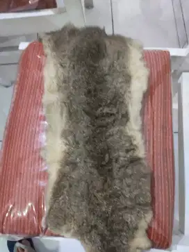 Karpet bulu domba asli