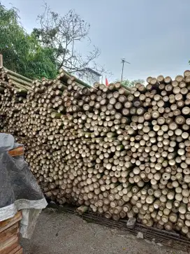 Jual bambu stger dan triplek