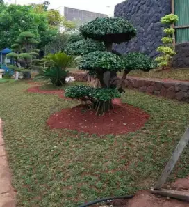 Tukang taman dan kebun amanah