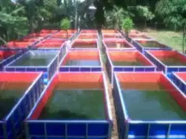 Jual Terpal Plastik.Buat Kolam ikan.DLL