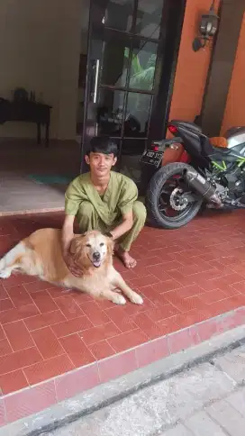 Jasa grooming panggilan jakarta anjing dan kucing only