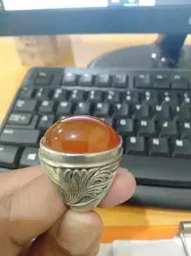 Cincin batu akik Sulaiman / Raflesia