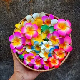 JEPIT JEPUN BALI