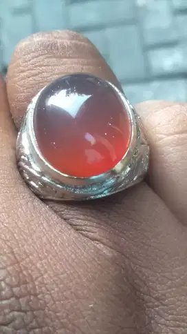 Bacan Obi Nukleus Giwang Merah