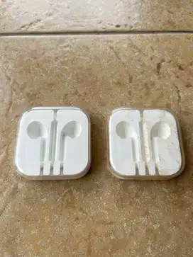 Apple EarPods Case