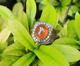 Batu Fire Opal Wonogiri Murah