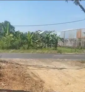 Jual Tanah di Mrisi Jalan Kasongan