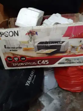 Printer epson stylus C45