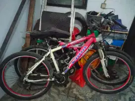 SEPEDA KONA KULA PRIMO