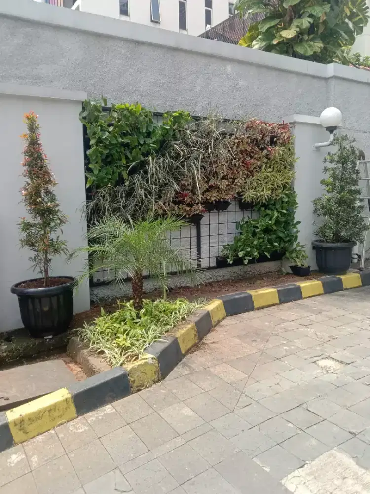 Taman Vertikal termurah di Jakarta