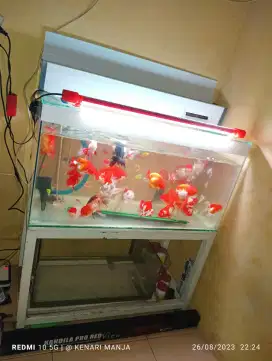 Aquarium akuarium atas bawah filter