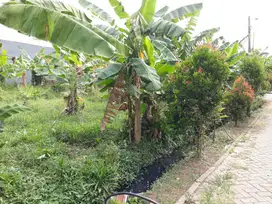 Di Jual Tanah Jl H Riwan I Kunciran