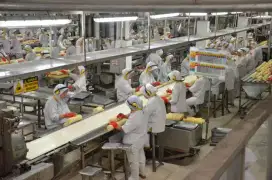 ALAT Boiler UAP food