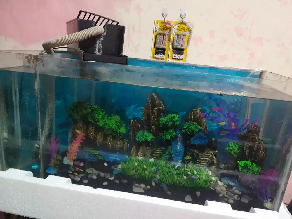 Aquarium ikan P:75cm, L:30cm, T :35cm