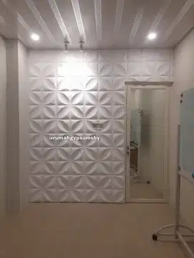 Wall Panel Gypsum