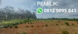 Tanah Pinggir Jln Aspal, Langsung Pemilik