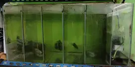 Aquarium sekatan filter samping