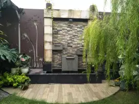 kolam ikan hias taman medan