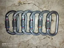 Carabiner petzl screw