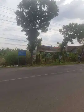 Tanah murah Jl. Jepara - Kudus ( dpn SPBU Atlantis )  Mayong, Jepara