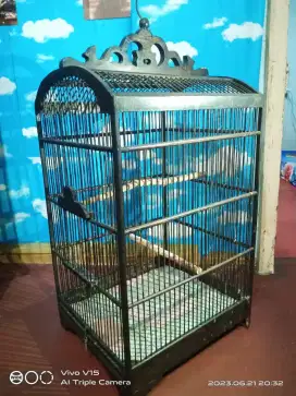 Kandang burung black nominus second  JUAL BU NEGOIN SAMPE JADI
