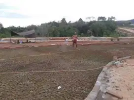 Pekerja dan penyedia Rumput Hias daerah Kendari