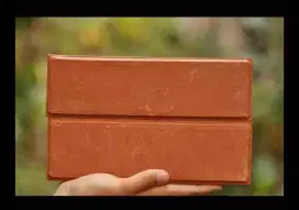 Bata tempel bevel