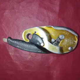 Descender IDs petzl
