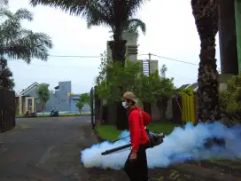 Ready Insect Control pengendalian Nyamuk dengan Fogging massal