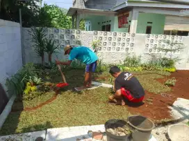 Pembuatan taman plus rumput gajah mini