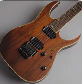 Guitar Ibanez RG series