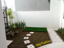 Tukang taman jual rumput gajah mini