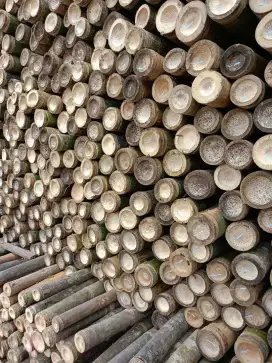 Jual bambu,kaso,dolken proyek