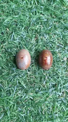 Batu Fosil Langka