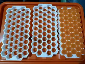 Cetakan jelly es batu