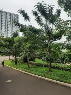 Dijual Cepat Murah Best View Apartemen Podomoro Golf View