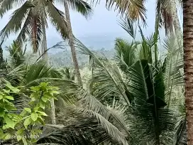 Tanah view gunung dan lembah 1 jam dari Canggu Bali