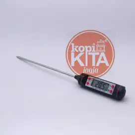 thermometer digital air