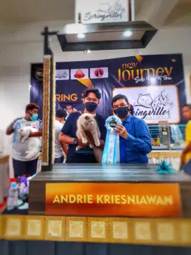 Grooming Kucing Panggilan