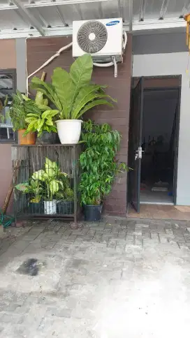 Disewakan Rumah Siap Huni Di Sepatan Tangerang Kabupaten