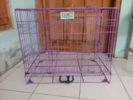 Dicari atau Dibeli Kandang Kucing Ukuran 60 cm