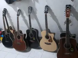 Gitar akustik tipe banyak elektrik