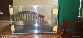 Aquarium 40x25x30 kaca 5mili
