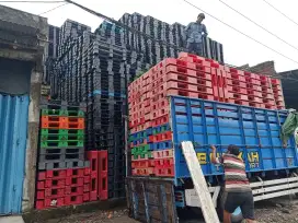 Pallet plastik baru dan bekas