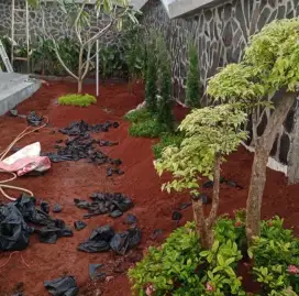 Taman minimalis sederhana