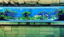 Design tema aquascape big tank akuarium desain