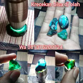 Krecekan bacan siap olah