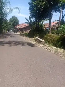 Tanah kebun sangat datar