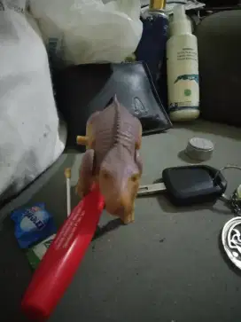 Mainan miniatur Dino saurus