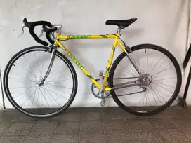 Road bike F Moser